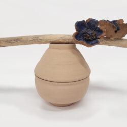 Stoneflower Natsuki (luna calma)